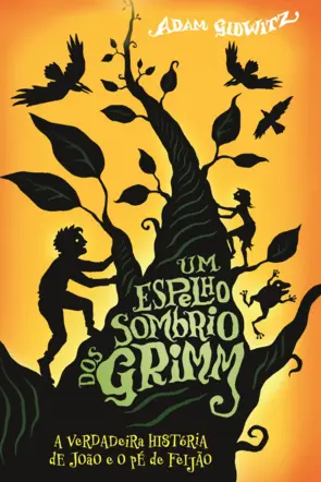 Capa Um Espelho Sombrio dos Grimm